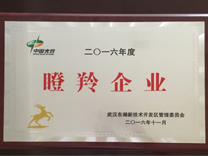 武汉金年会金字招牌信誉至上光电入选光谷2016年“瞪羚企业”
